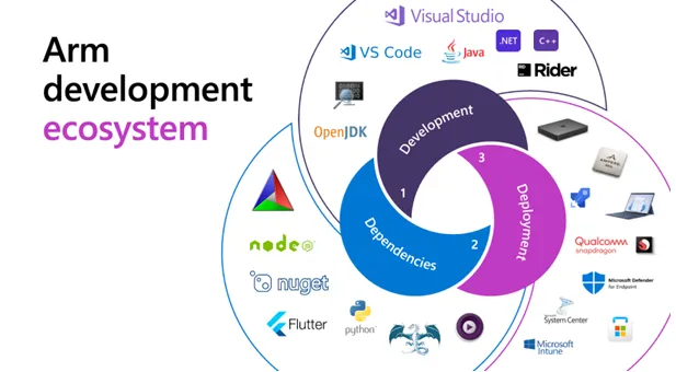 Arm development ecosystem